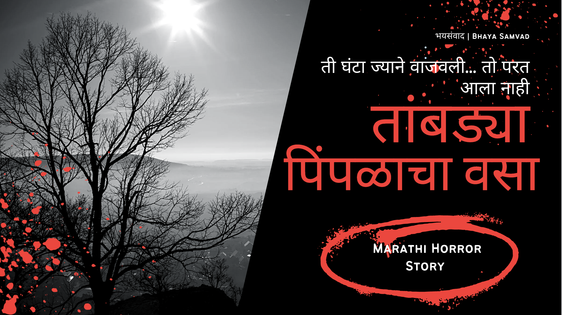 Read more about the article तांबड्या पिंपळाचं रहस्य – कोकणातील गाव, शाप आणि एक शिक्षकाची भयकथा